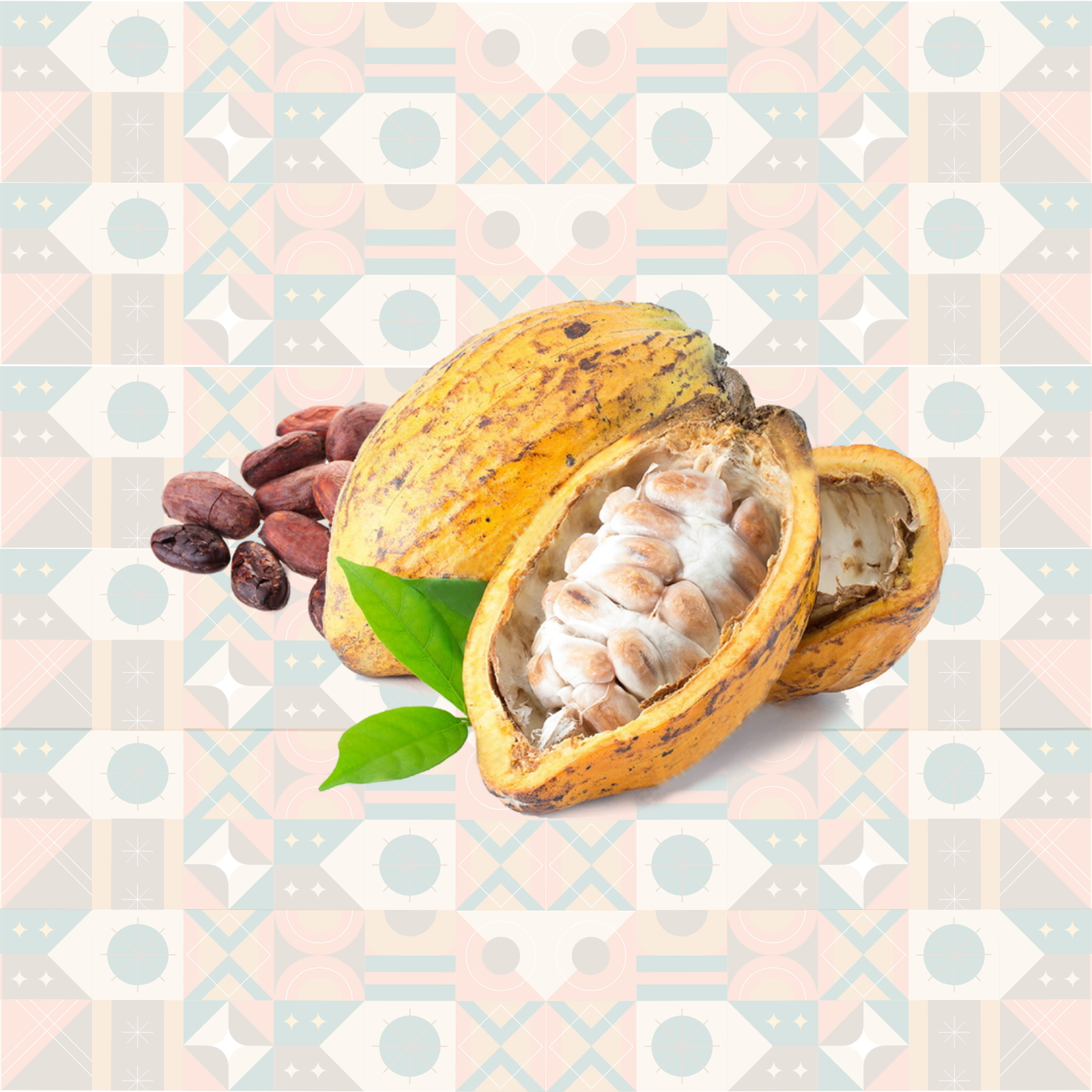 Premium Cocoa Beans