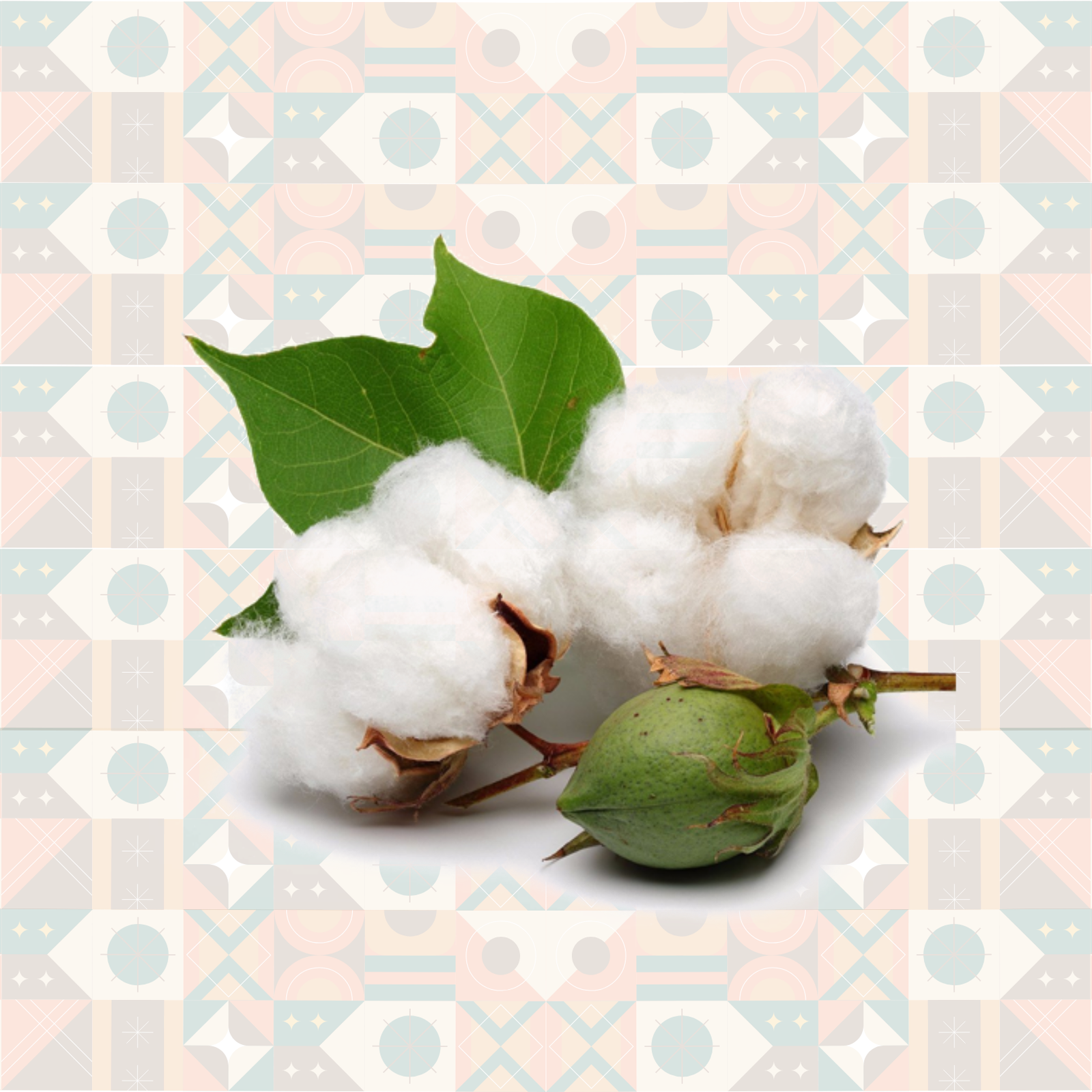 Premium Cotton