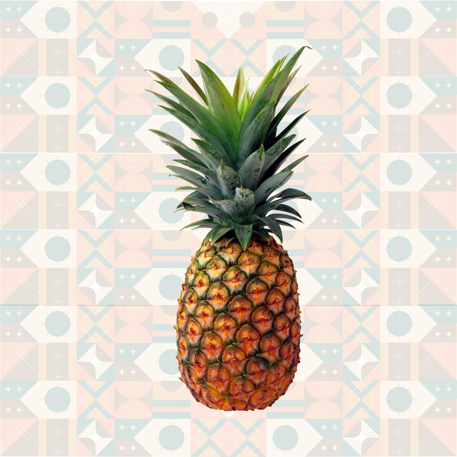 Fresh Pineapples